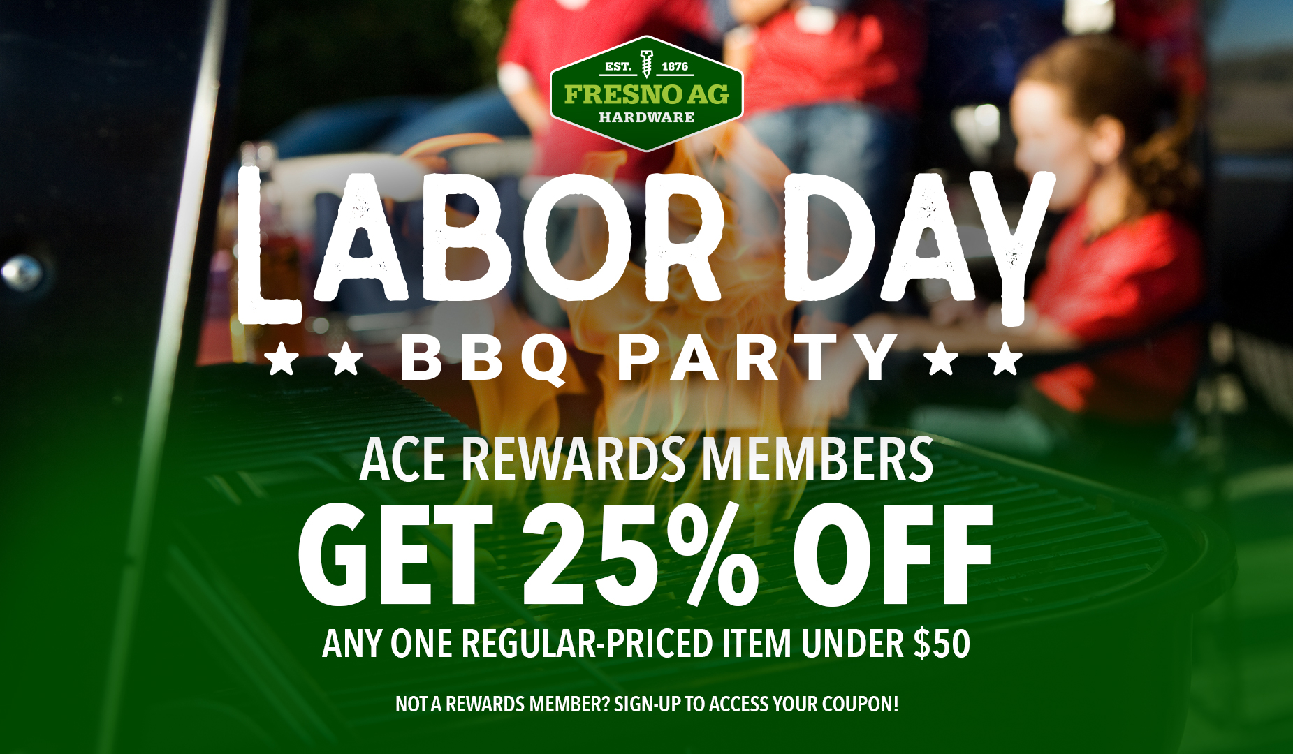 Labor Day BBQ Party: Get 25% off any one regular priced item under $50